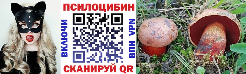 omg ссылки  даркнет сайт  Луга  Галлюциногенные грибы ЛСД 