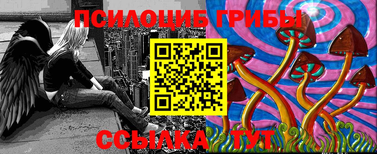 Галлюциногенные грибы Psilocybine cubensis Луга