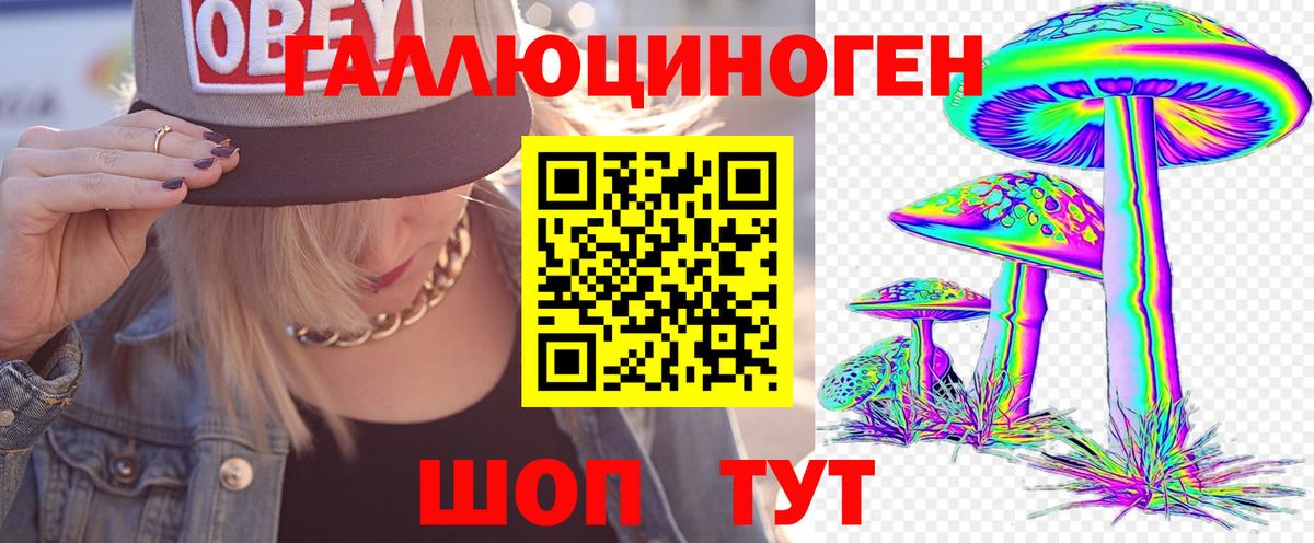 Луга  Галлюциногенные грибы Psilocybine cubensis  Вход с VPN 